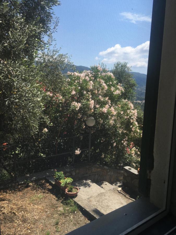 Apartment Il Girasole *